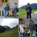 Wandern und Seifenkistenbauen